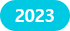 2023년