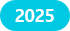 2025년