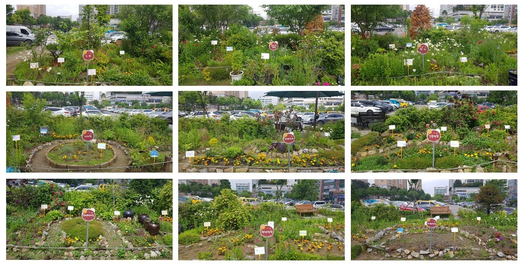 개별정원 가꾸기 사진