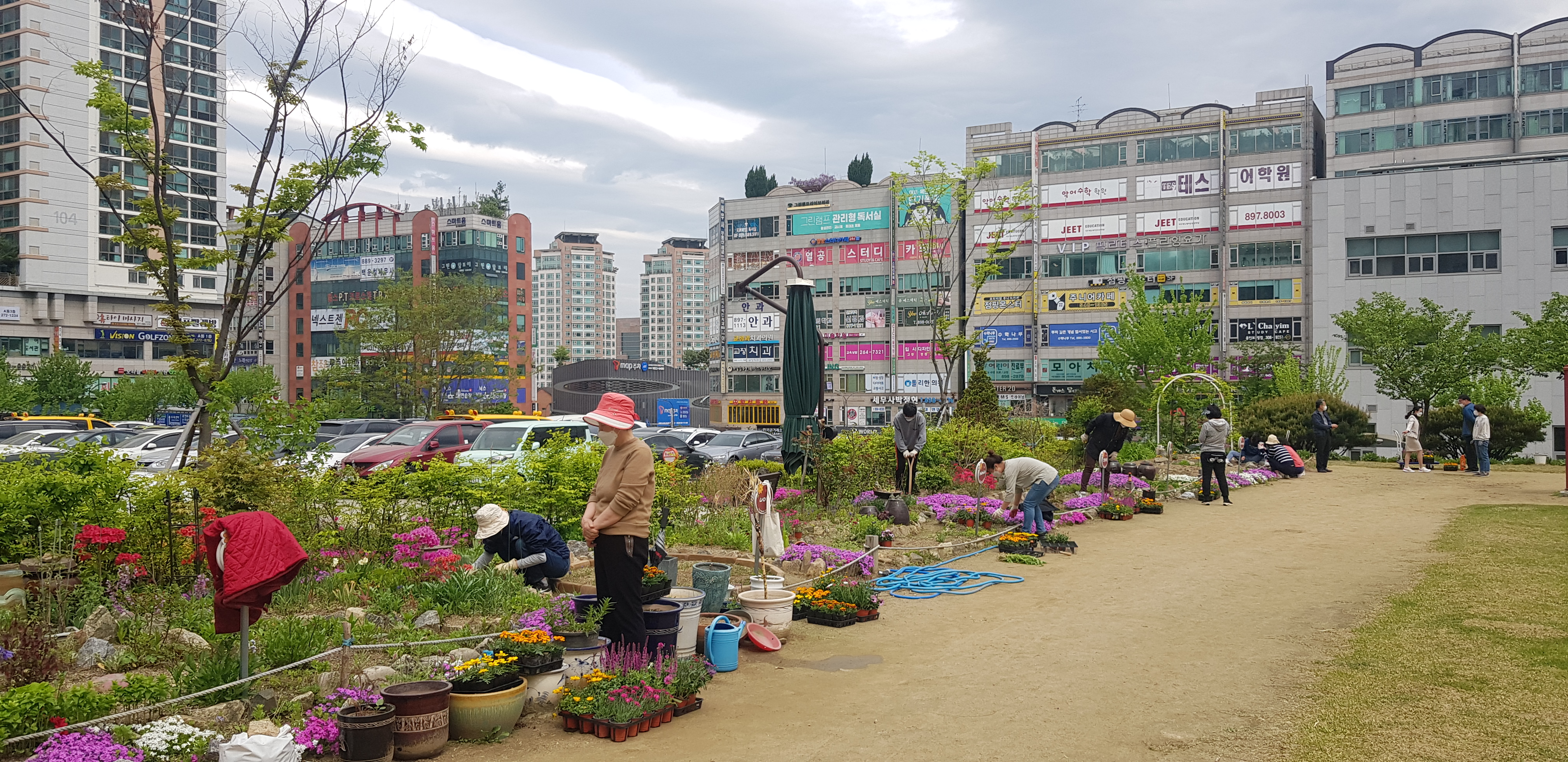 개별정원 꽃모종 심기 사진