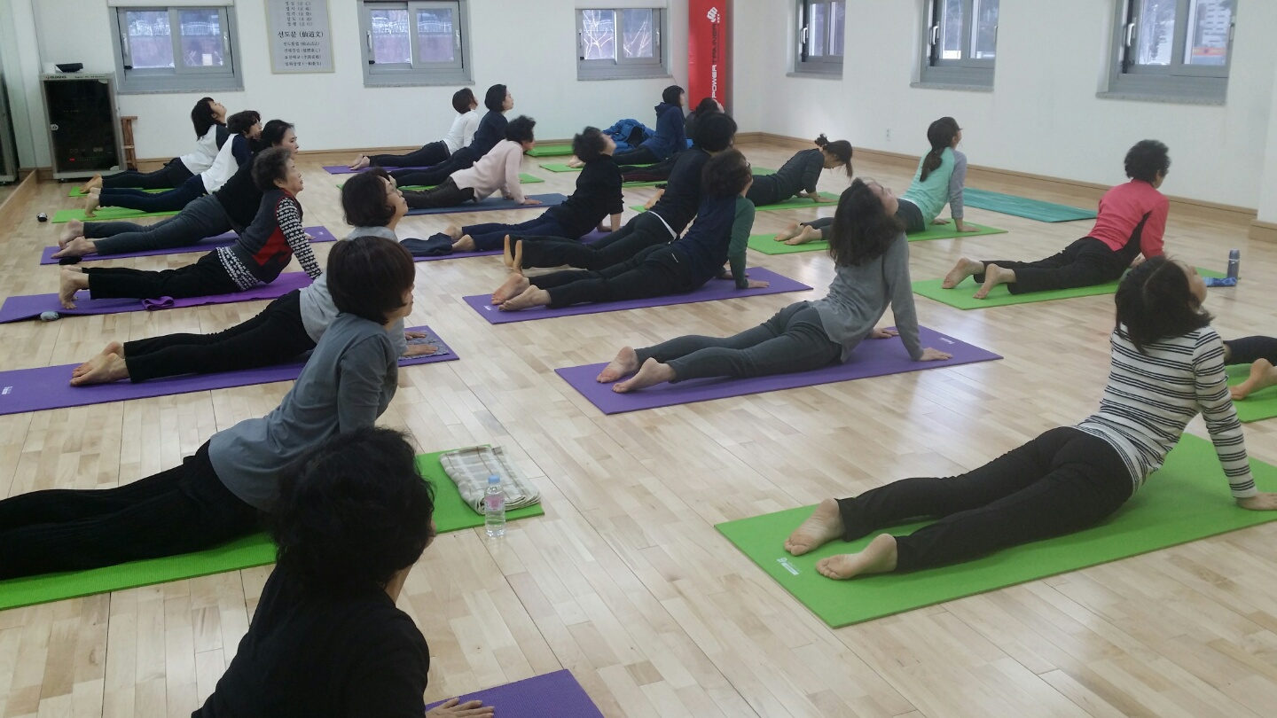 요가 수업장면 사진