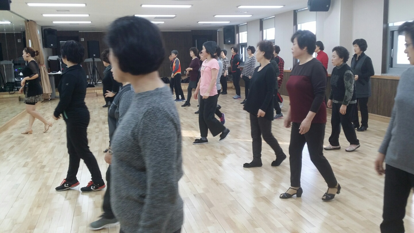 라인댄스 수업장면 사진