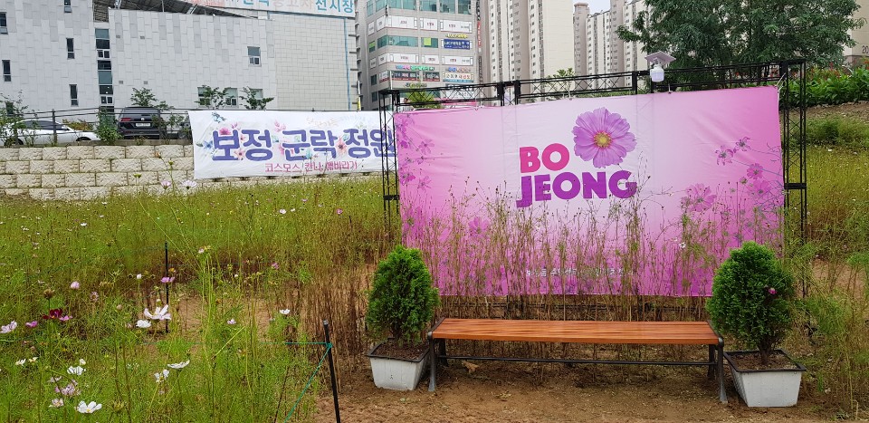 군락 정원 사진