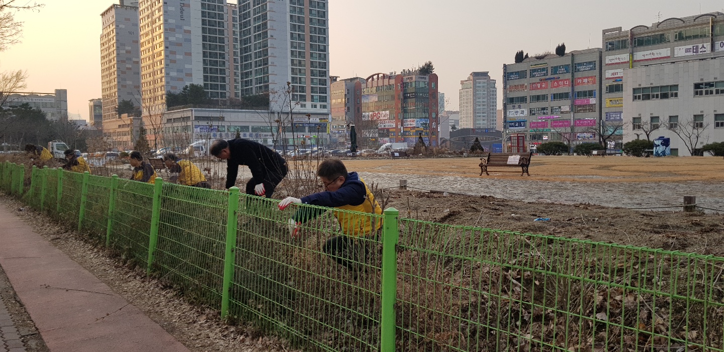 무궁화 및 목수국 전지작업 시행 사진