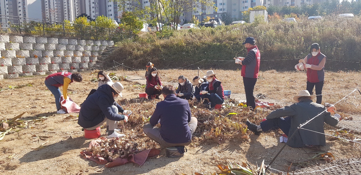 칸나 구군캐기 사진