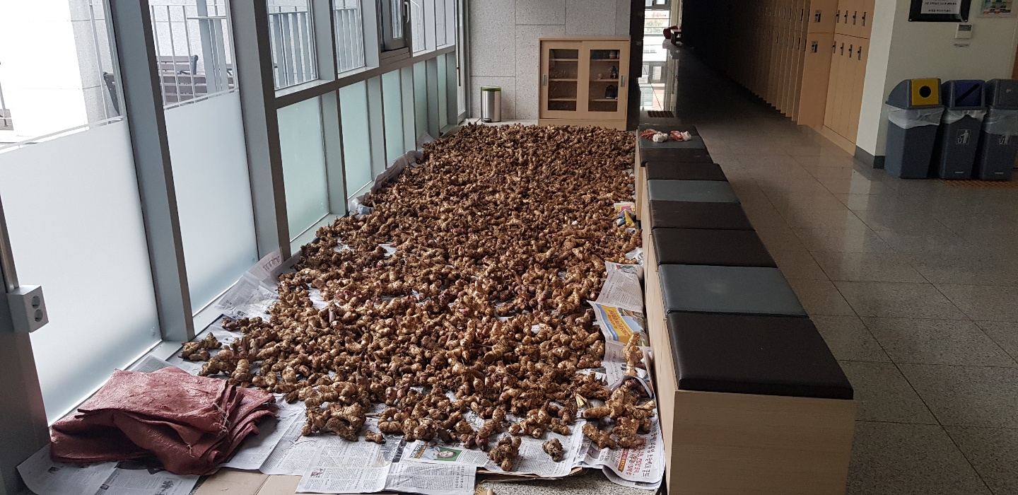 구군 말리기 사진