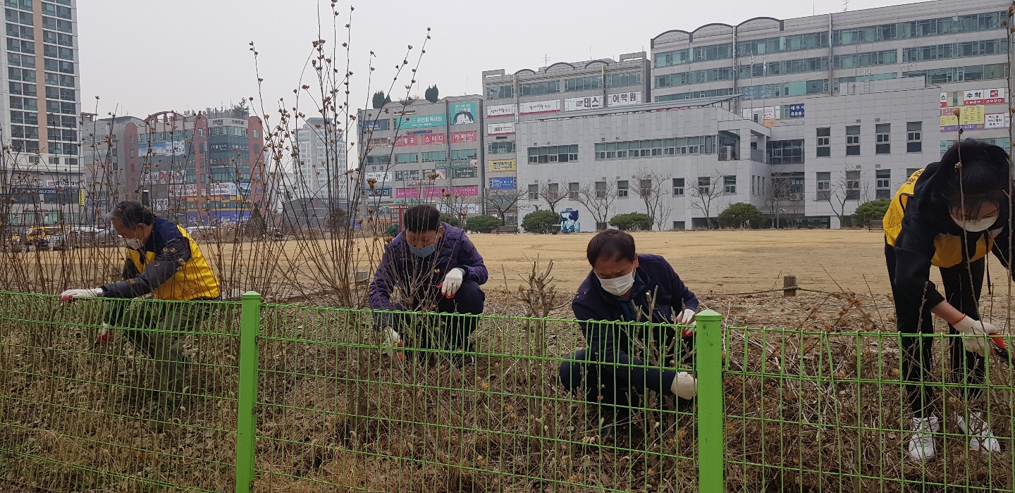 무궁화 전지작업 사진