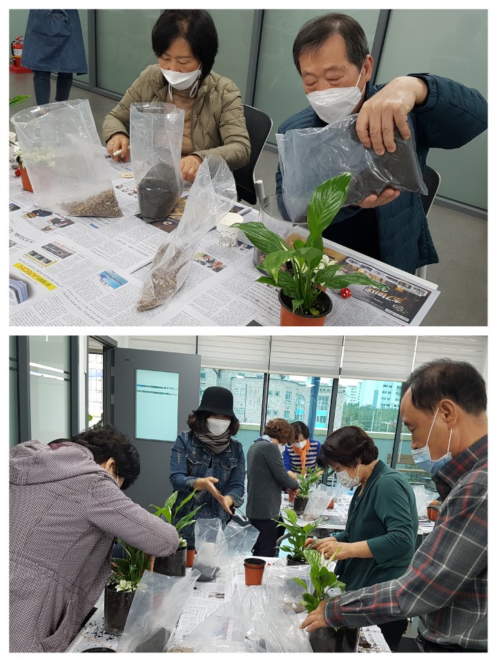 (특색사업)꽃보다 청춘 : 사진