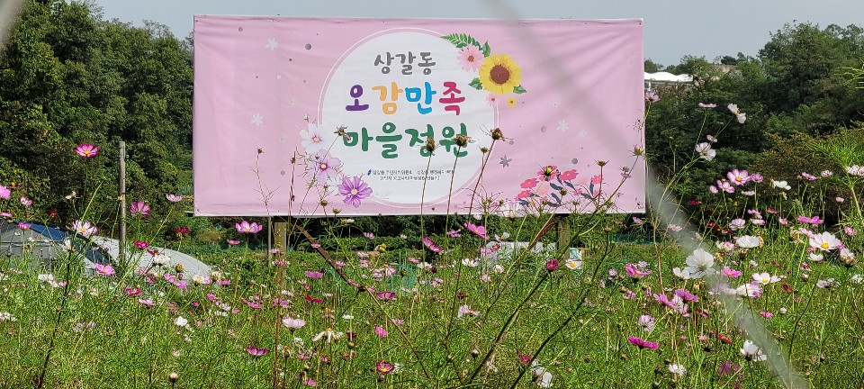 상갈동 오감만족 마을정원을 주민여러분께 개방합니다. 사진