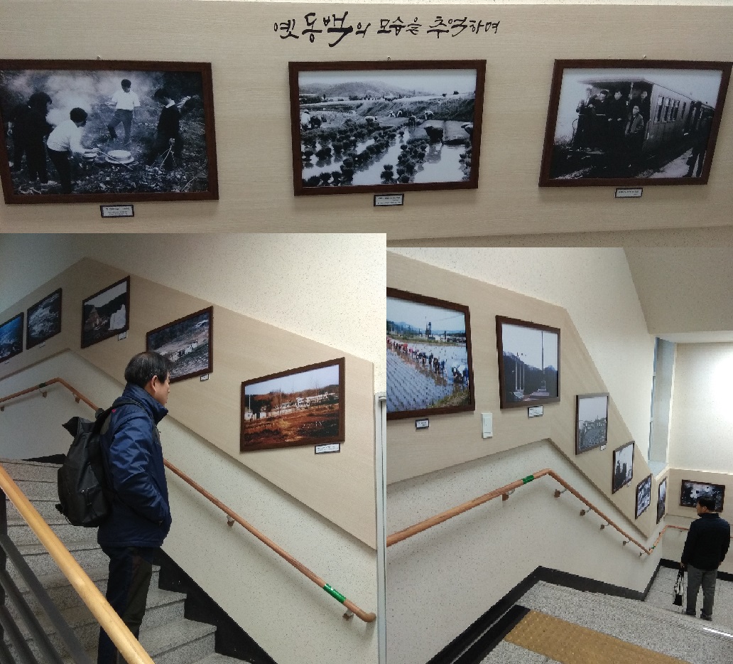 1~3층 계단 사진전시(동백의 옛 모습) 사진
